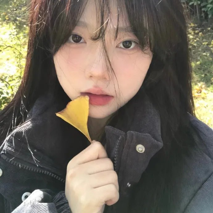 燕子与鹦鹉
